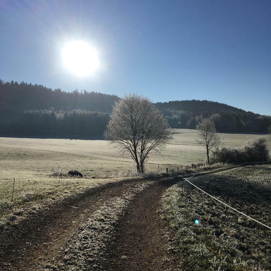 Gite La Janiat Montigny-sur-l'Ain 외부 사진